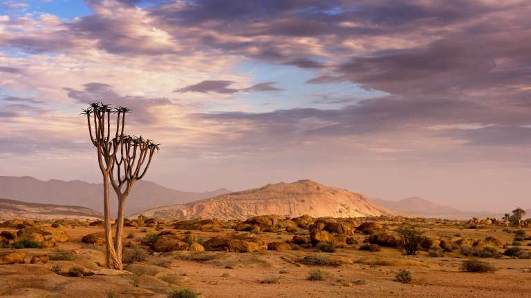 Naukluft Nature reserve, Namibia