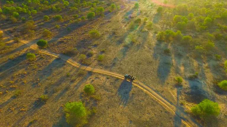 Game drive at sunrise