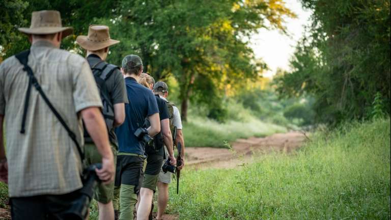 Wilderness trail walking in single-file