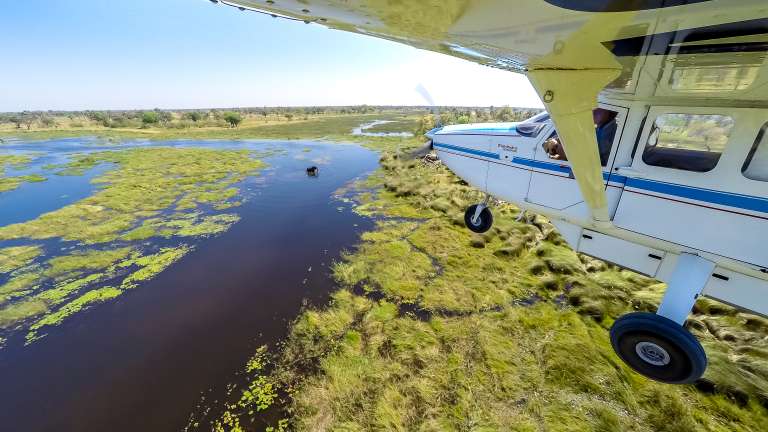 Inter camp transfer flight above the Okavango Delta, Botswana