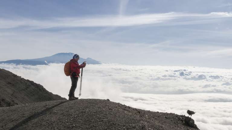 Hiker looking out over a sea of clound on Kilimanjaro in Tanzania